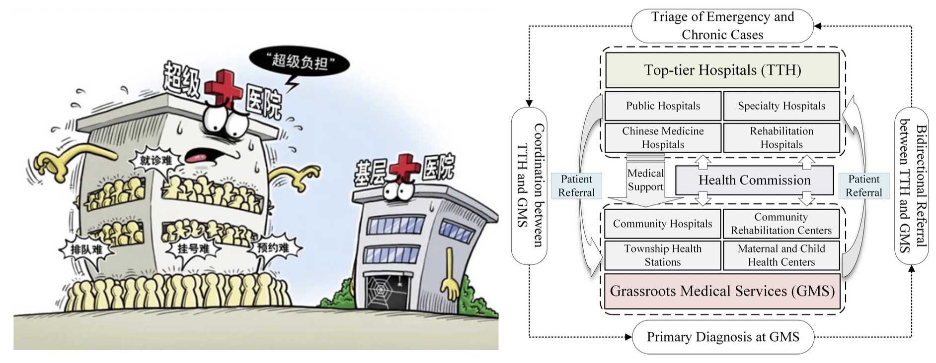 Hierarchical medical system