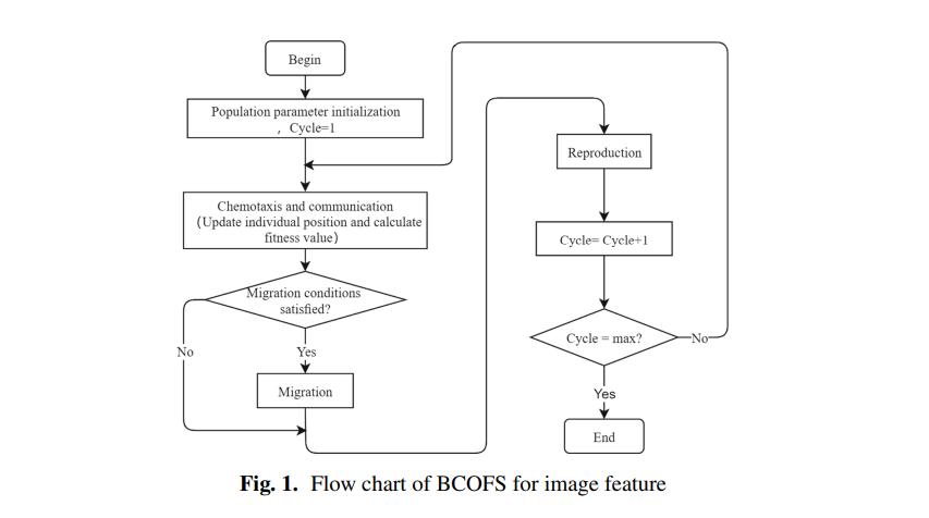 ICSI2021_fs.png